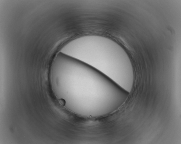 X0000114410543200910161034