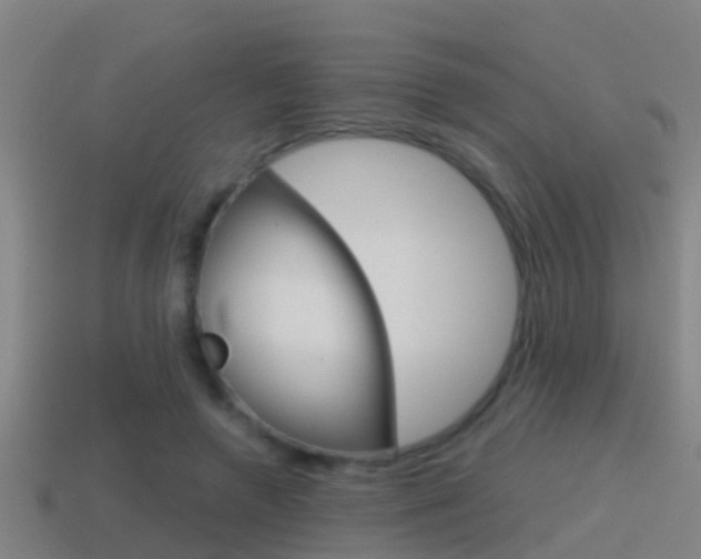 X0000114410546200910161034
