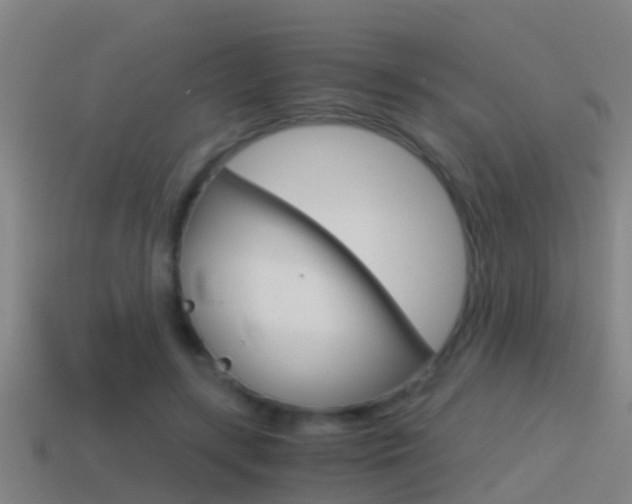 X0000114410547200910161034