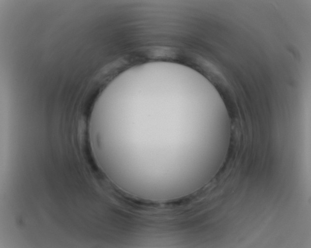 X0000114410550200910161034