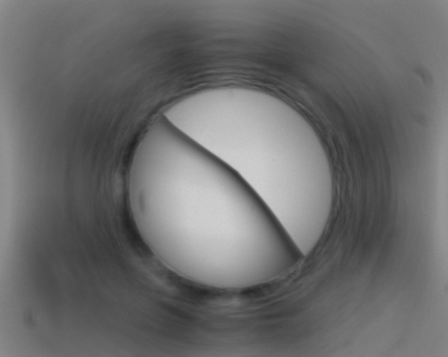 X0000114410551200910161034