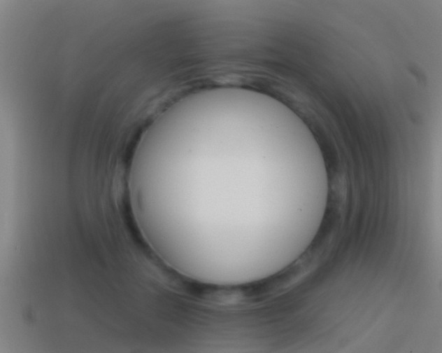X0000114410554200910161034