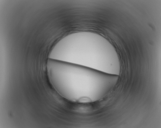 X0000114410555200910161034