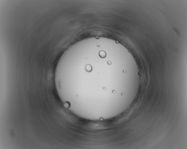 X0000114410557200910161034