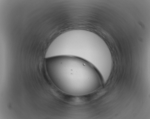 X0000114410558200910161034