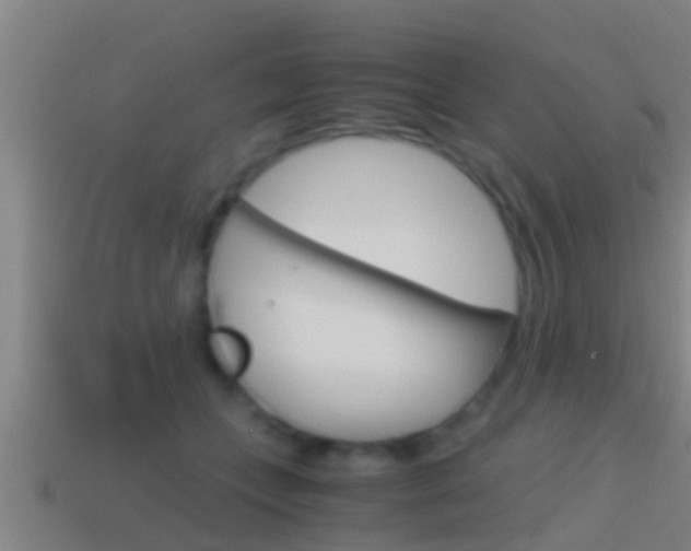 X0000114410559200910161034