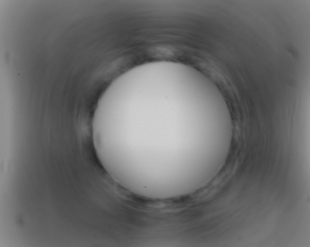 X0000114410561200910161034