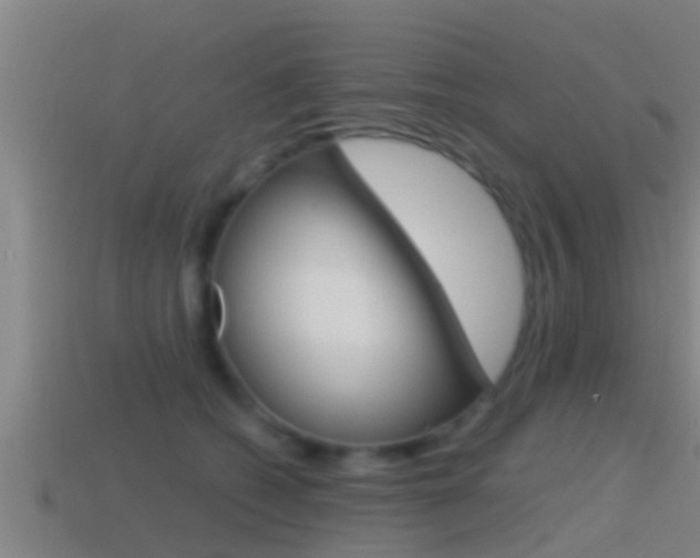 X0000114410562200910161034