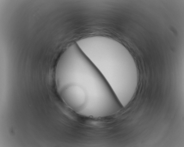 X0000114410563200910161034