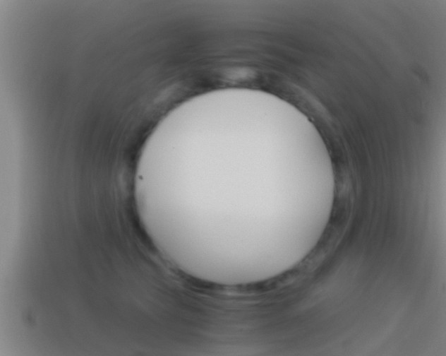 X0000114410565200910161034