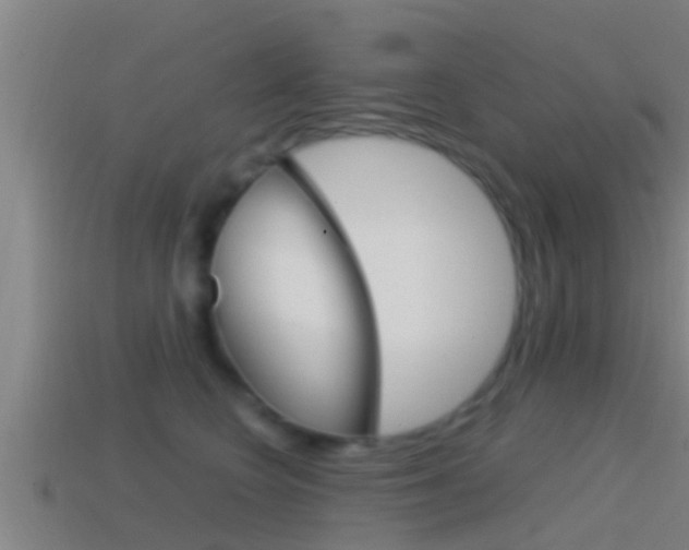 X0000114410566200910161034