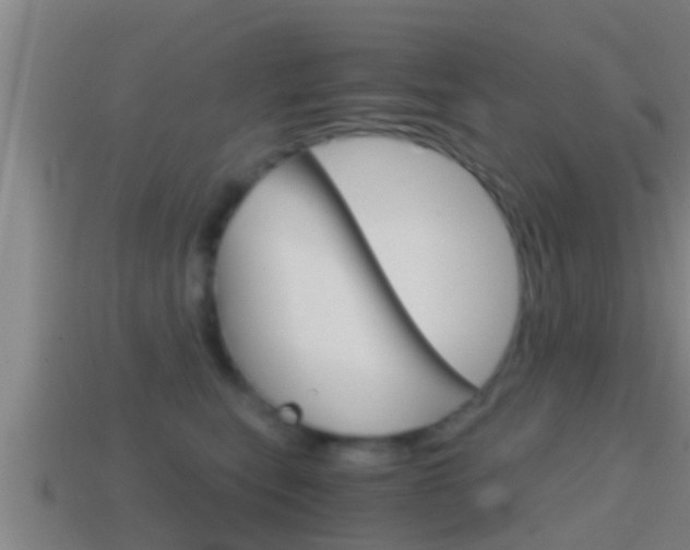 X0000114410567200910161034