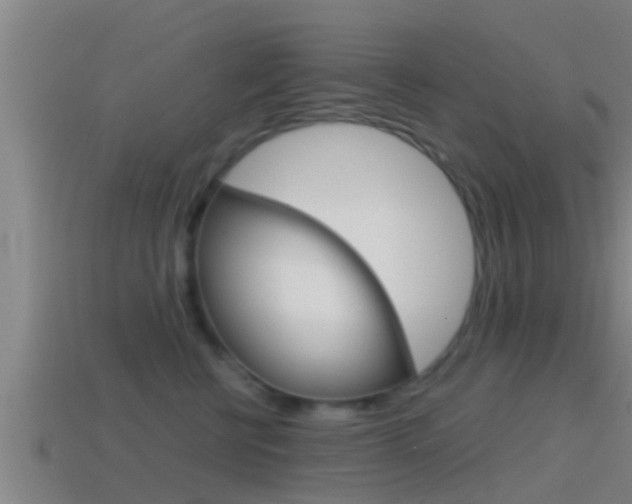 X0000114410570200910161034