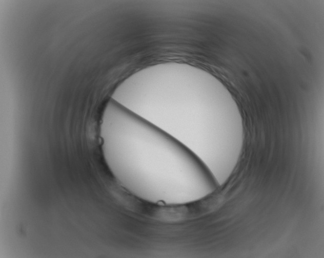 X0000114410571200910161034