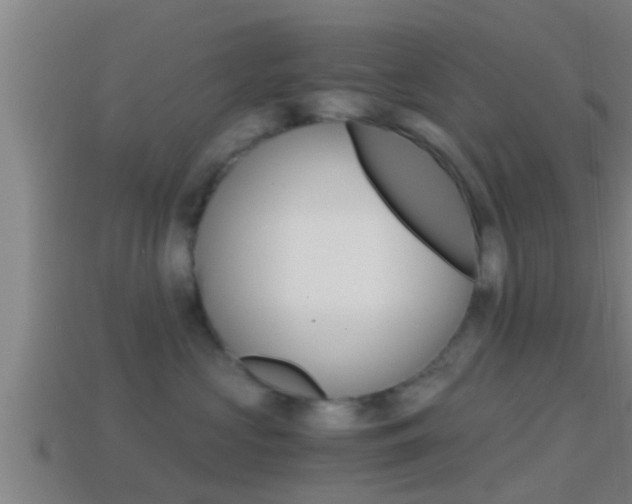 X0000114410573200910161035