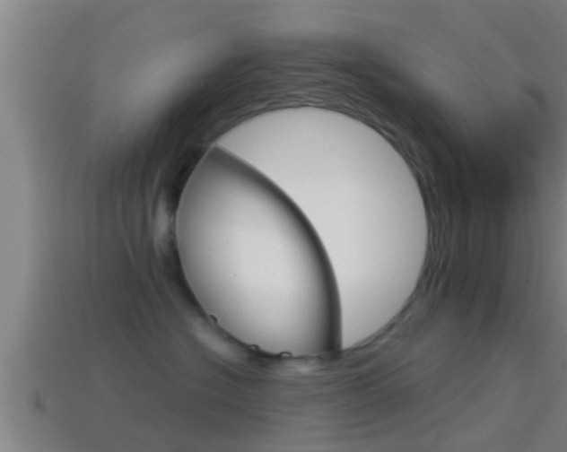 X0000114410574200910161035