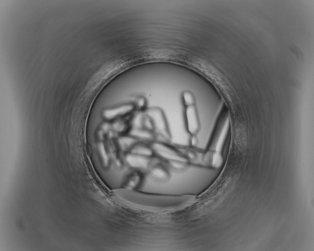 X0000114410577200910161034