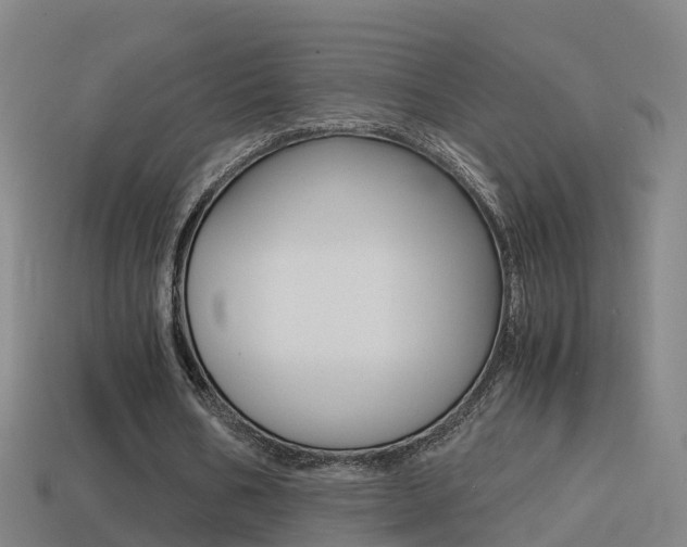 X0000114410578200910161034