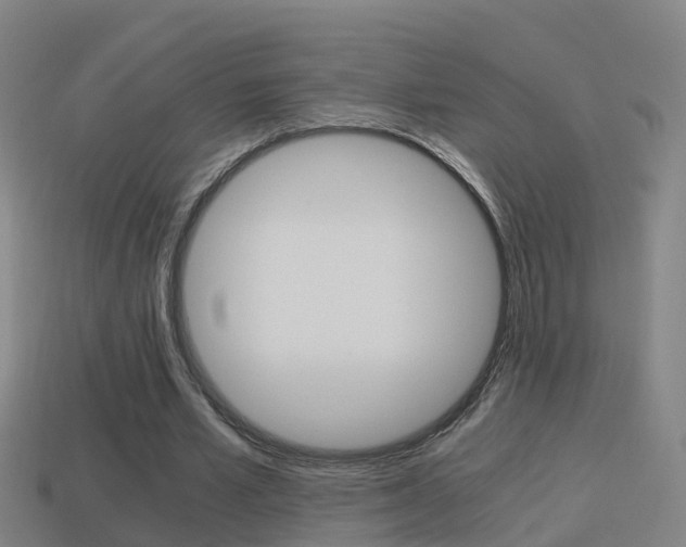 X0000114410581200910161034
