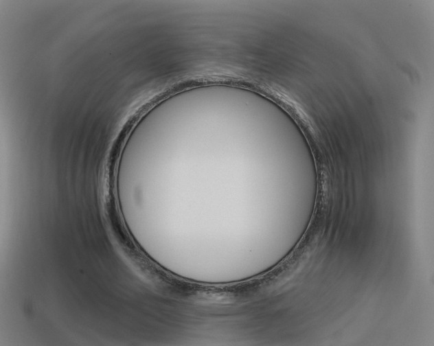 X0000114410582200910161034