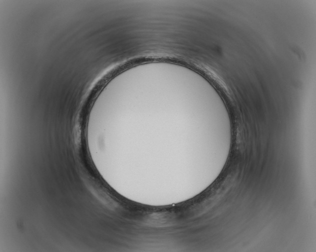 X0000114410584200910161034