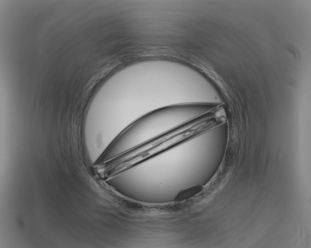 X0000114410585200910161034