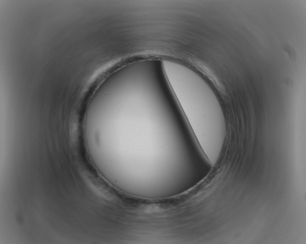 X0000114410588200910161034