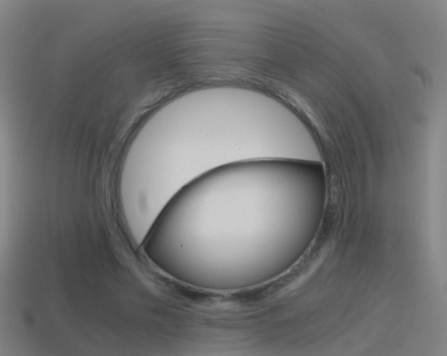 X0000114410589200910161034