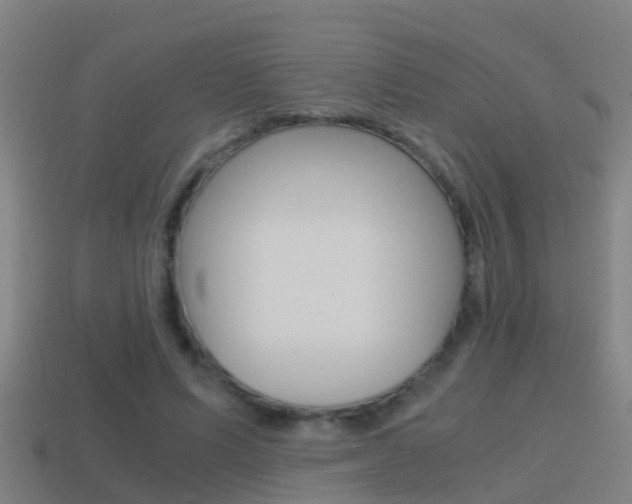X0000114410591200910161034