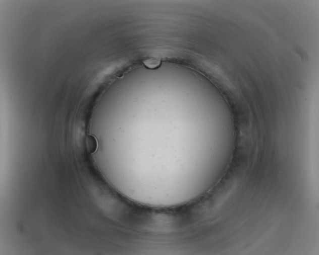 X0000114410592200910161034