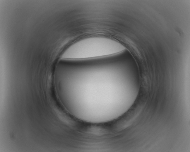 X0000114410596200910161034