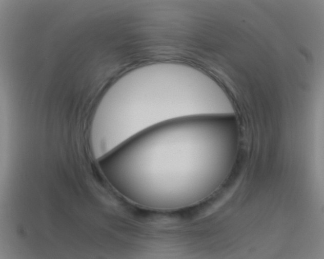 X0000114410597200910161033