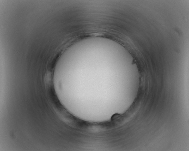X0000114410598200910161033