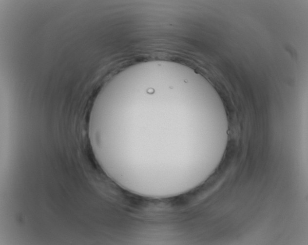 X0000114410599200910161033