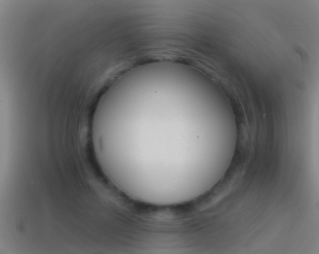 X0000114410600200910161033