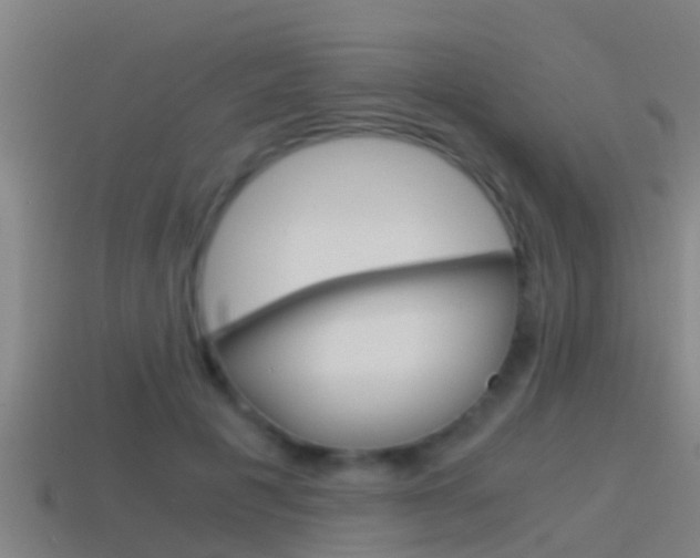 X0000114410601200910161033