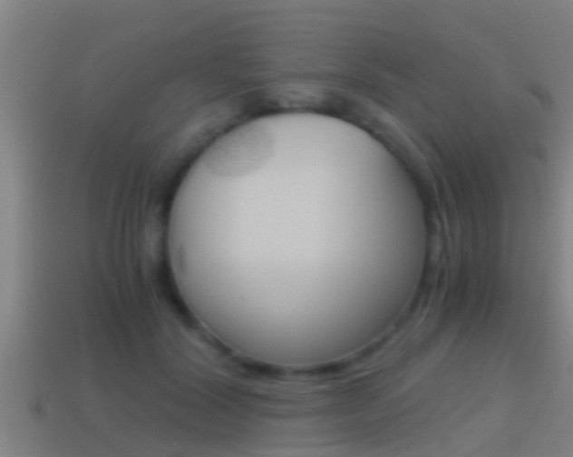 X0000114410604200910161033