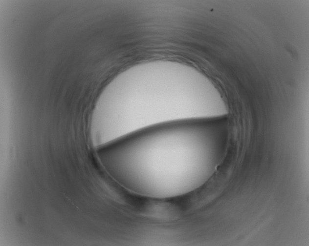 X0000114410605200910161033