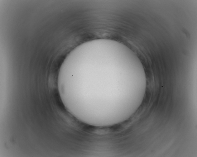 X0000114410606200910161033