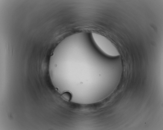 X0000114410608200910161033