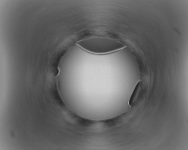 X0000114410609200910161033