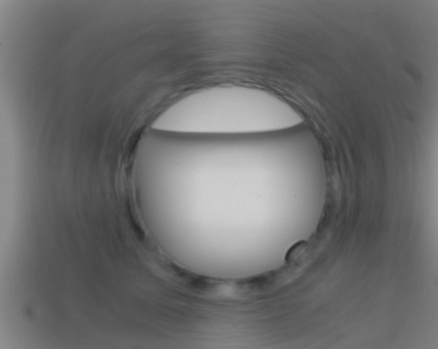 X0000114410611200910161033