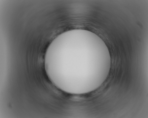 X0000114410614200910161033