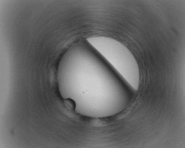 X0000114410616200910161033