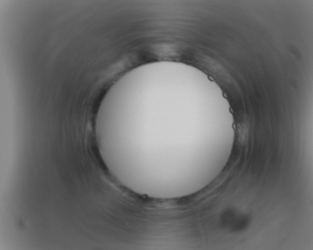 X0000114410618200910161033