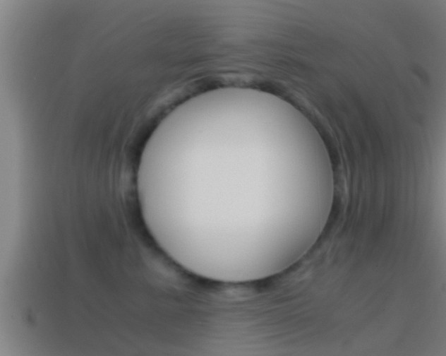 X0000114410619200910161033