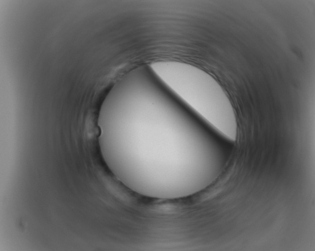 X0000114410620200910161033