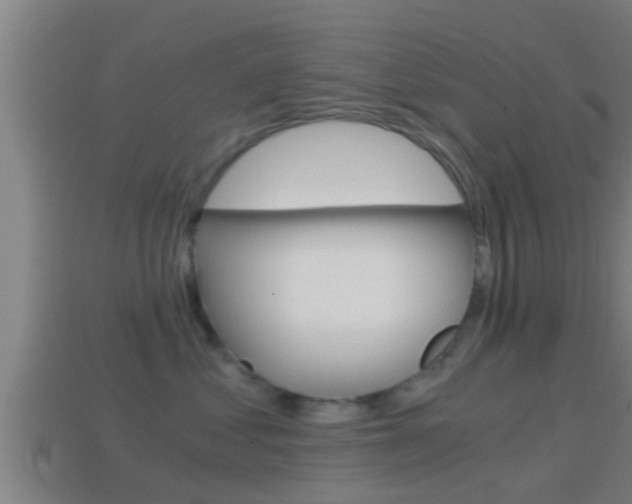 X0000114410621200910161033