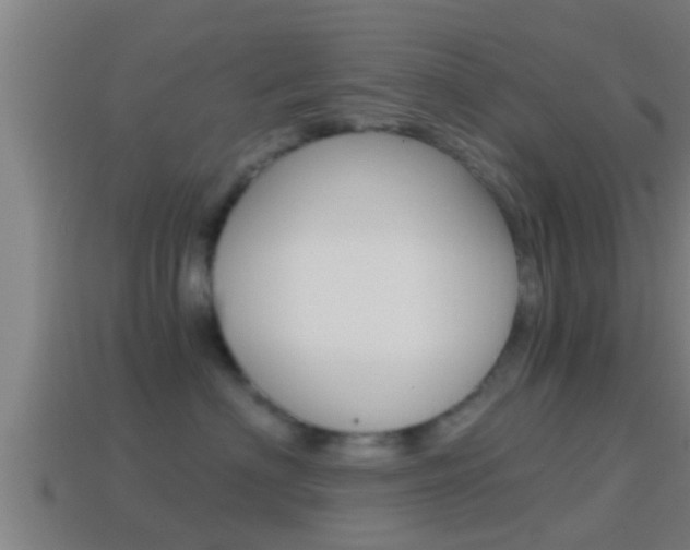 X0000114410622200910161033