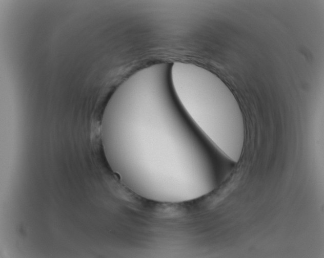 X0000114410624200910161033